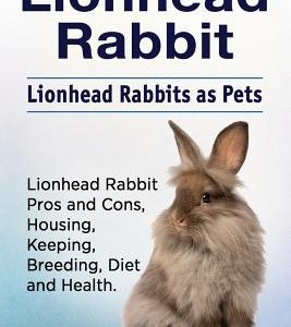 Lionhead Rabbit. Lionhead rabbits as pets. Lionhead rabbit book for pros and cons, housing, keeping, breeding, diet and health.