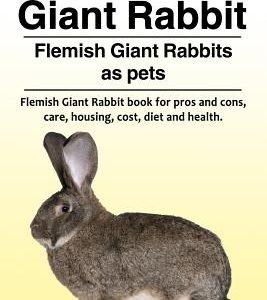 Flemish Giant Rabbit. Flemish Giant Rabbits as pets. Flemish Giant Rabbit book for pros and cons, care, housing, cost, diet and health.