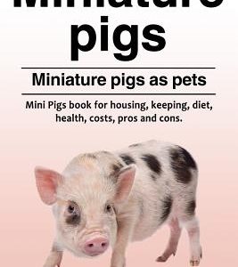 Miniature pigs. Miniature pigs as pets. Mini Pigs book for housing, keeping, diet, health, costs, pros and cons.