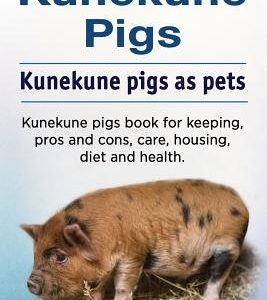 Kunekune pigs. Kunekune pigs as pets. Kunekune pigs book for keeping, pros and cons, care, housing, diet and health.
