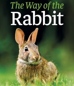 The Way of the Rabbit