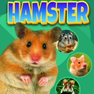 Hamster