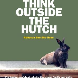 Think Outside the Hutch: For happy, confident rabbits the whole family can enjoy