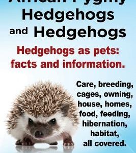 African Pygmy Hedgehogs and Hedgehogs. Hedgehogs as Pets: Facts and Information. Care, Breeding, Cages, Owning, House, Homes, Food, Feeding, Hibernati