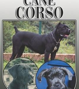 The Cane Corso: A Complete and Comprehensive Owners Guide To: Buying, Owning, Health, Grooming, Training, Obedience, Understanding and