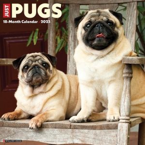 Just Pugs 2023 Wall Calendar