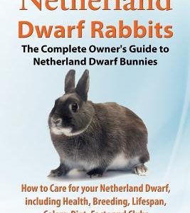 Netherland Dwarf Rabbits, The Complete Owner's Guide to Netherland Dwarf Bunnies, How to Care for your Netherland Dwarf, including Health, Breeding, L