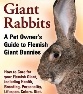 Flemish Giant Rabbits, A Pet Owner's Guide to Flemish Giant Bunnies How to Care for your Flemish Giant, including Health, Breeding, Personality, Lifes