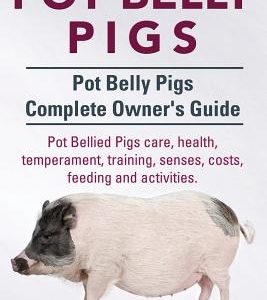 Pot Belly Pigs. Pot Belly Pigs Complete Owners Guide. Pot Bellied Pigs care, health, temperament, training, senses, costs, feeding and activities.