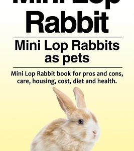 Mini Lop Rabbit. Mini Lop Rabbits as pets. Mini Lop Rabbit book for pros and cons, care, housing, cost, diet and health.
