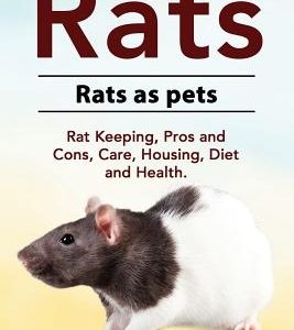 Rats. Rats as pets. Rat Keeping, Pros and Cons, Care, Housing, Diet and Health.