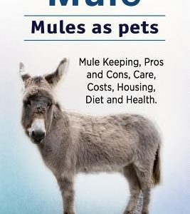 Mule. Mules as pets. Mule Keeping, Pros and Cons, Care, Costs, Housing, Diet and Health.
