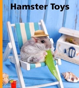 Handmade Hamster Toys: Make cheap hamster toys from cardboard, string and lollypop sticks