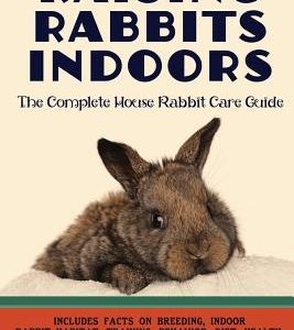 Raising Rabbits Indoors: The Complete House Rabbit Care Guide