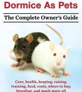 Rats, Mice, and Dormice as Pets. Care, Health, Keeping, Raising, Training, Food, Costs, Where to Buy, Breeding, and Much More All Included! the Comple