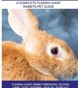Flemish Giant Rabbits: Flemish Giant Rabbit Breeding, Buying, Care, Cost, Keeping, Health, Supplies, Food, Rescue and More Included! A Comple