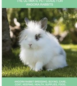 Angora Rabbits: Angora Rabbit Breeding, Buying, Care, Cost, Keeping, Health, Supplies, Food, Rescue and More Included! The Ultimate Pe