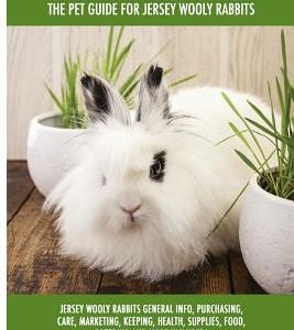 Jersey Wooly Rabbits: Jersey Wooly Rabbits General Info, Purchasing, Care, Marketing, Keeping, Health, Supplies, Food, Breeding and More Inc