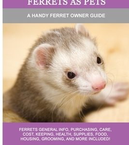 Ferrets as Pets: A Handy Ferret Owner Guide