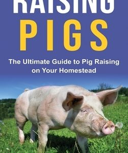 Raising Pigs: The Ultimate Guide to Pig Raising on Your Homestead