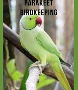 Indian Ringneck Parakeet Birdkeeping: Indian Ring neck Parakeets, Care, Housing, Feeding, Breeding, Health And Behavior