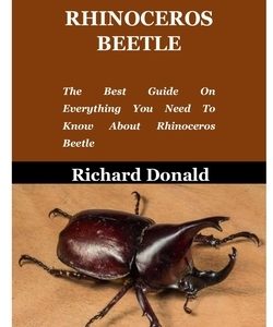 Rhinoceros Beetle: The Best Guide On Everything You Need To Know About Rhinoceros Beetle