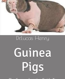 Guinea Pigs: The Comprehensive Guide To Care For Your Pet Guinea Pig