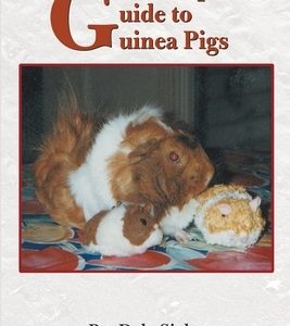 A Grown-Up's Guide to Guinea Pigs