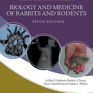 Biology Medicine Rabbits Roden