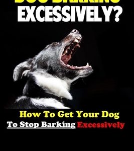 Dog Barking Excessively?: How to Get Your Dog to Stop Barking Excessively