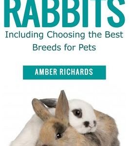 How to Care for Your Pet Rabbits: Including Choosing the Best Breeds for Pets