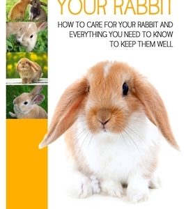 Caring For Your Rabbit: How to care for your Rabbit and everything you need to know to keep them well