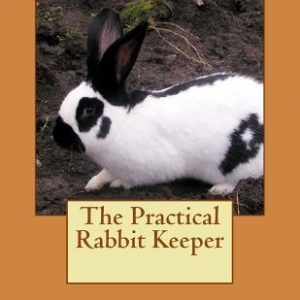 The Practical Rabbit Keeper