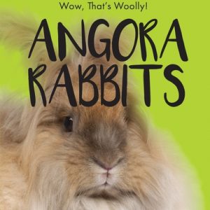 Angora Rabbits