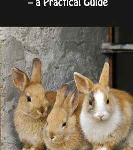 How to Bond Rabbits: - a Practical Guide