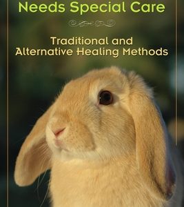 When Your Rabbit Needs Special Care: Traditional and Alternative Healing Methods