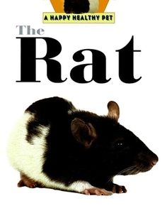 The Rat: An Owner's Guide to a Happy Healthy Pet
