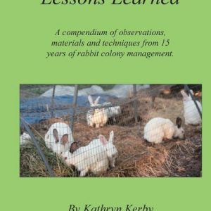 Rabbit Colonies Lessons Learned