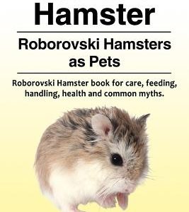 Roborovski Hamster. Roborovski Hamsters as Pets. Roborovski Hamster book for care, feeding, handling, health and common myths.