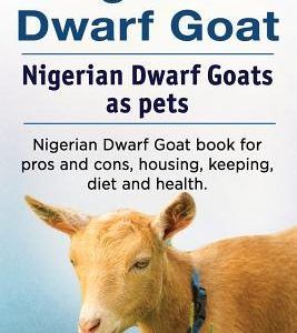 Nigerian Dwarf Goat. Nigerian Dwarf Goats as pets. Nigerian Dwarf Goat book for pros and cons, housing, keeping, diet and health.