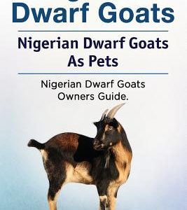 Nigerian Dwarf Goats. Nigerian Dwarf Goats As Pets. Nigerian Dwarf Goats Owners Guide.