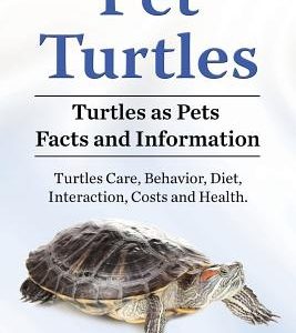 Pet Turtles. Turtles as Pets Facts and Information. Turtles Care, Behavior, Diet, Interaction, Costs and Health.