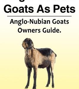Anglo-Nubian Goats as Pets. Anglo-Nubian Goats Owners Guide.