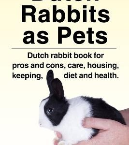 Dutch Rabbits. Dutch Rabbits as Pets. Dutch rabbit book for pros and cons, care, housing, keeping, diet and health.