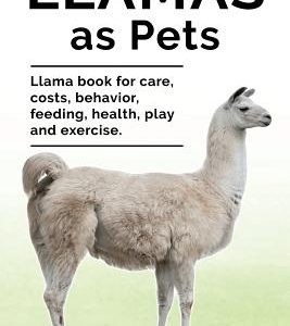 Llamas as Pets. Llama Book for Care, Costs, Behavior, Feeding, Health, Play and Exercise.