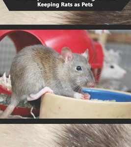 Rat Care: The Complete Guide to Caring for and Keeping Rats as Pets