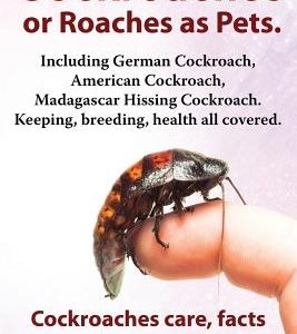 Cockroaches as Pets. Cockroaches Care, Facts and Information. Including German Cockroach, American Cockroach, Madagascar Hissing Cockroach. Keeping, B