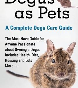 Degus as Pets, a Complete Degu Care Guide