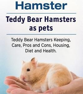Teddy Bear Hamster. Teddy Bear Hamsters as pets. Teddy Bear Hamsters Keeping, Care, Pros and Cons, Housing, Diet and Health.