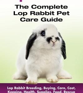 Lop Rabbits: Lop Rabbit Breeding, Buying, Care, Cost, Keeping, Health, Supplies, Food, Rescue and More Included! The Complete Lop R